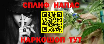 молекула духа Пенза