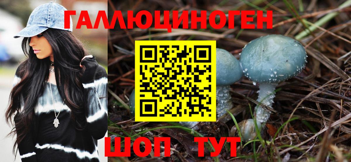 Псилоцибиновые грибы GOLDEN TEACHER  где купить   Светлоград  Вход с VPN  Псилоцибиновые грибы GOLDEN TEACHER 