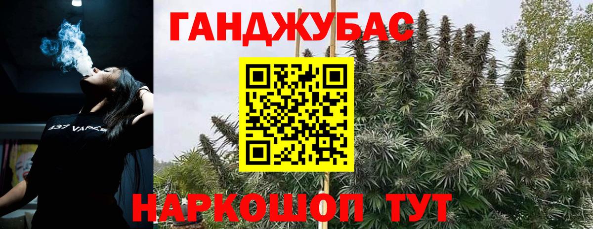Конопля конопля  Канабис сатива  Бошки Шишки Bruce Banner  Бошки марихуана White Widow  Вход с VPN  Светлоград 